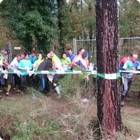 Novembre 2013 - CNE - Vidéos Novembre 2013 - CNE - Vidéos