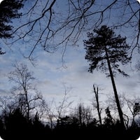 Février 2015 - CO nocturne