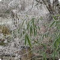Janvier 2022 - Challenge Poitiers CO - Les Roches-Prémaries