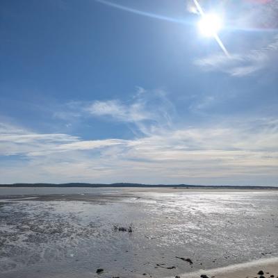Img 20250217 Wa0027