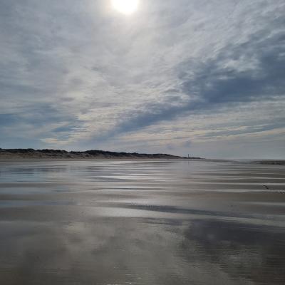 Img 20250217 Wa0041
